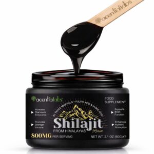 shilajit résine – origine himalaya